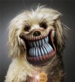 /album/a100-photoshopas/sunelis-jpg/