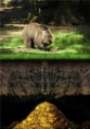 /album/a100-photoshopas/zemeu-3-jpg/
