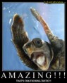 /album/demotivatoriai/amazing-jpg/